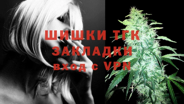 гидра Мегион