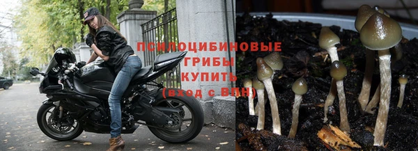 гидра Мегион