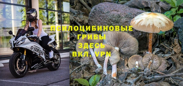 гидра Мегион
