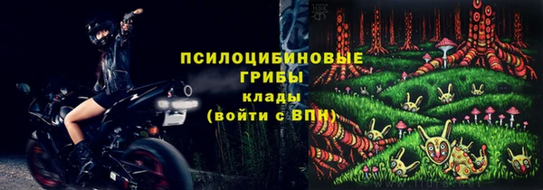 гидра Мегион