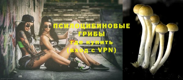 бошки Медвежьегорск
