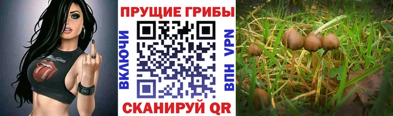 Псилоцибиновые грибы MAGIC MUSHROOMS  Радужный 