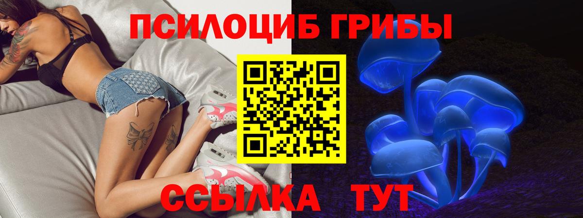 Псилоцибиновые грибы прущие грибы  Псилоцибиновые грибы ЛСД  Радужный  даркнет сайт  Вход с VPN 